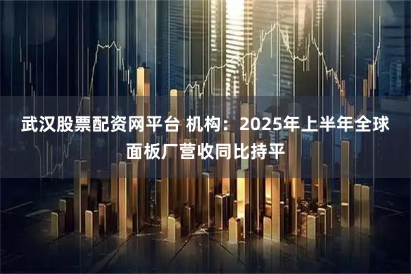 武汉股票配资网平台 机构：2025年上半年全球面板厂营收同比持平