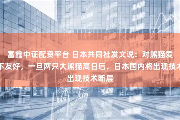 富鑫中证配资平台 日本共同社发文说：对熊猫爱好者不友好，一旦两只大熊猫离日后，日本国内将出现技术断层
